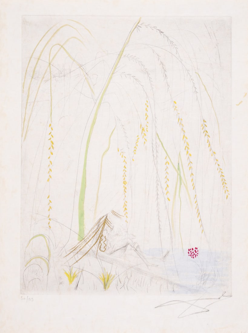 Salvador Dalí (1904-1989) La Saule Pleureur, from Les Amours de Cassandre (Field 68-2F; M&L 253g): Salvador Dalí (1904-1989)La Saule Pleureur, from Les Amours de Cassandre (Field 68-2F; M&L 253g) Etching with hand-colouring in watercolour, 1968, signed in pencil, numbered from the editio