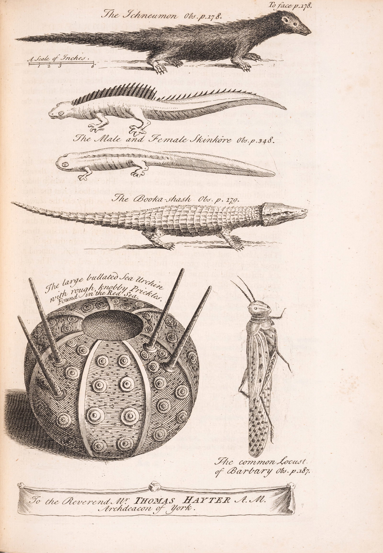 Levant.- Shaw (Thomas) Travels or Observations relating to several parts of Barbary and the Levant,: Levant.- Shaw (Thomas) Travels or Observations relating to several parts of Barbary and the Levant, second edition, 14 engraved maps (8 folding, 3 with short tears at gutter), 22 engraved plates (2 fo