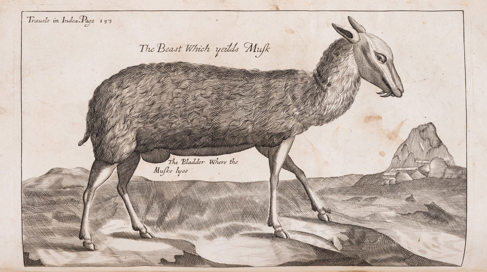 Levant.- Tavernier (Jean Baptiste) The Six Voyages ... through Turky into Persia, and the: Levant.- Tavernier (Jean Baptiste) The Six Voyages ... through Turky into Persia, and the East-Indies, 3 parts in 1, translated by John Phillips, 23 engraved plates (of 24, 1 folding), illustrations,