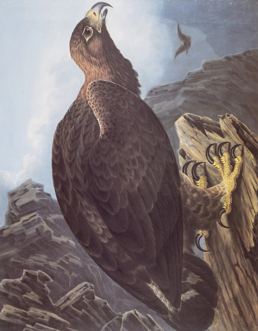 Birds.- Anglesea (Martyn, editor) Birds of Ireland, one of 250 copies signed by the editor and (1 of 1)