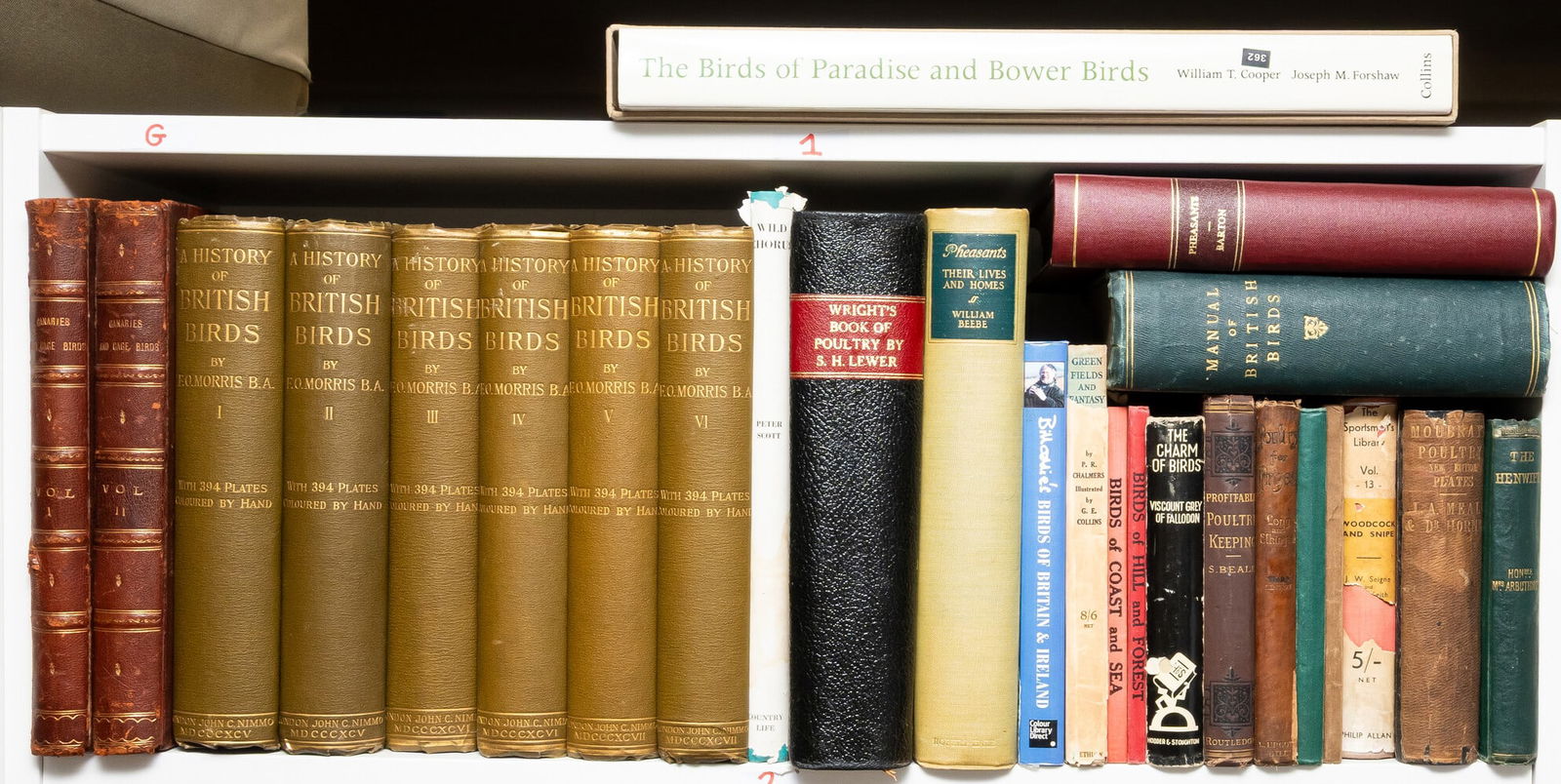 Birds.- Blakston (W. A.) Swaysland (W.) and August F. Wiener. The Illustrated Book of Canaries and: Birds.- Blakston (W. A.) Swaysland (W.) and August F. Wiener. The Illustrated Book of Canaries and Cage-Birds, 56 chromolithogra