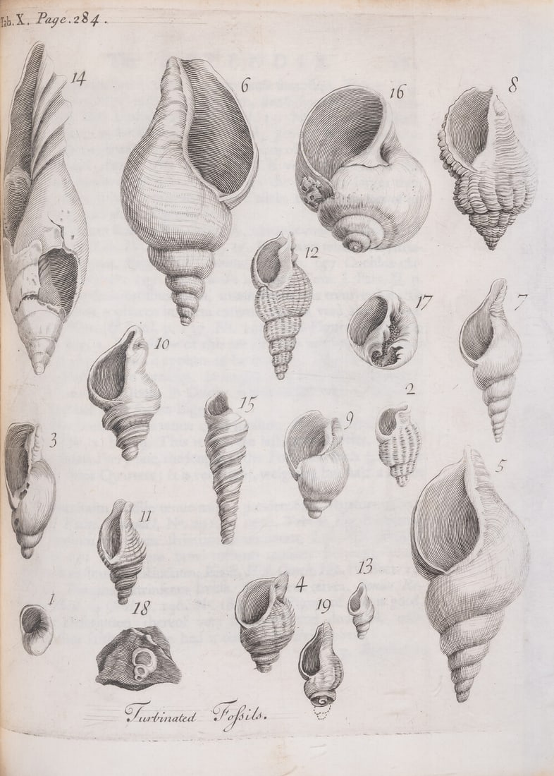 Essex.- Taylor (Silas) and Samuel Dale. The History and Antiquities of Harwich and Dovercourt, in (1 of 1)