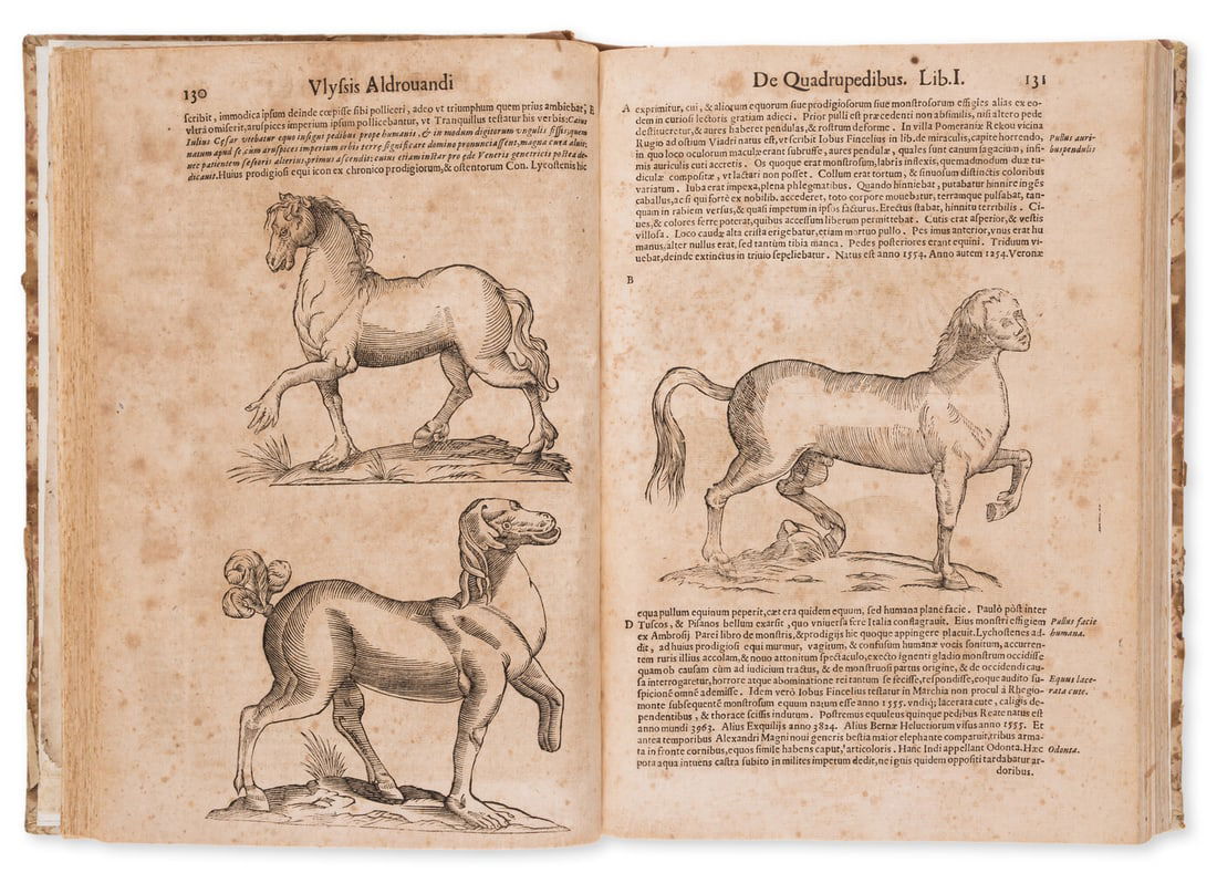 Zoology.- Aldrovandi (Ulisse) De Quadrupedibus Solidipedibus volumen integrrum..., second Bologna (1 of 1)