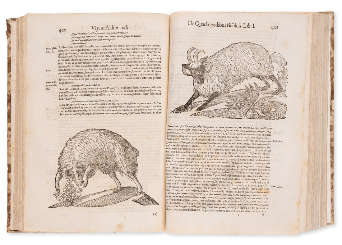 Zoology.- Aldrovandi (Ulisse) Quadrupedum omnium bisulcorum historia, second edition, Bologna, (1 of 1)