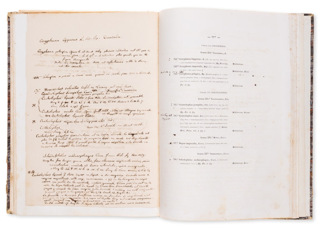 Fishes.- Vérany (Jean-Baptiste).- Bonaparte (Charles Lucien Jules Laurent, Prince) Catalogo (1 of 1)