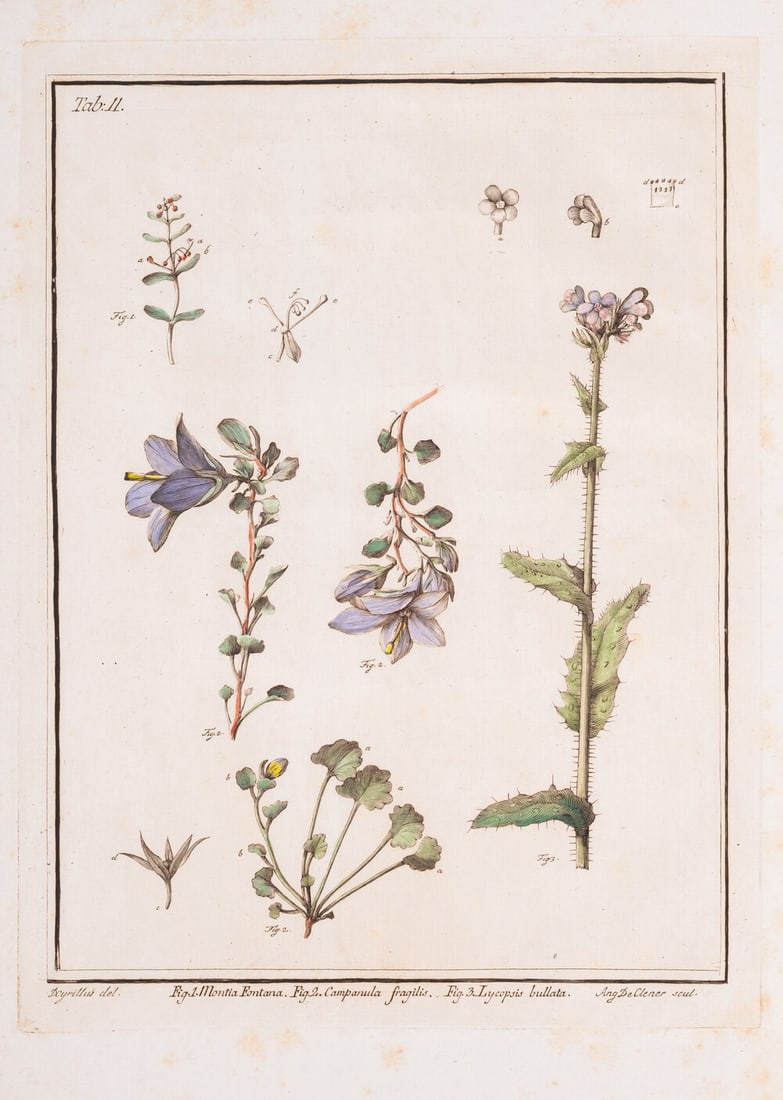 Botany.- Italy.- Cirillo (Dominic) Plantarum Rariorum regni Neapolitani Fasciculus Primus, 1 part (1 of 1)