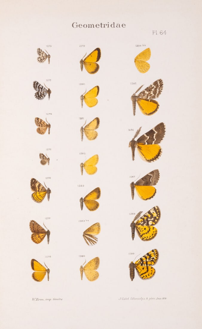Butterflies.- Culot (Jules) Noctuelles et Géomètres d'Europe, 4 vol., first edition, A.L.s by the (1 of 1)