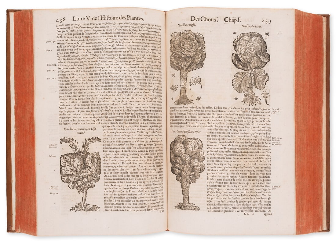 Herbals.- Dalechamps (Jacques) Histoire Generale des Plantes, 2 vol., second French edition, Lyon, (1 of 1)