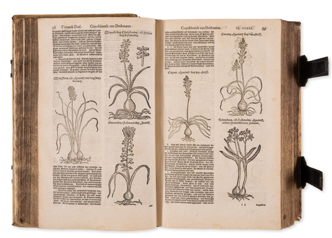 Herbal.- Dodoens (Rembert) Cruydt-Boeck... volgens sijne laetste verberteringe, second edition, (1 of 2)
