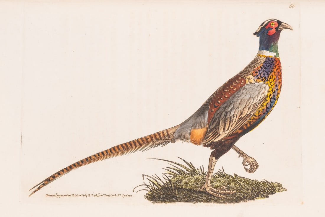 Zoology.- Leach (William Elford) The Zoological Miscellany; being descriptions of new, or (1 of 1)