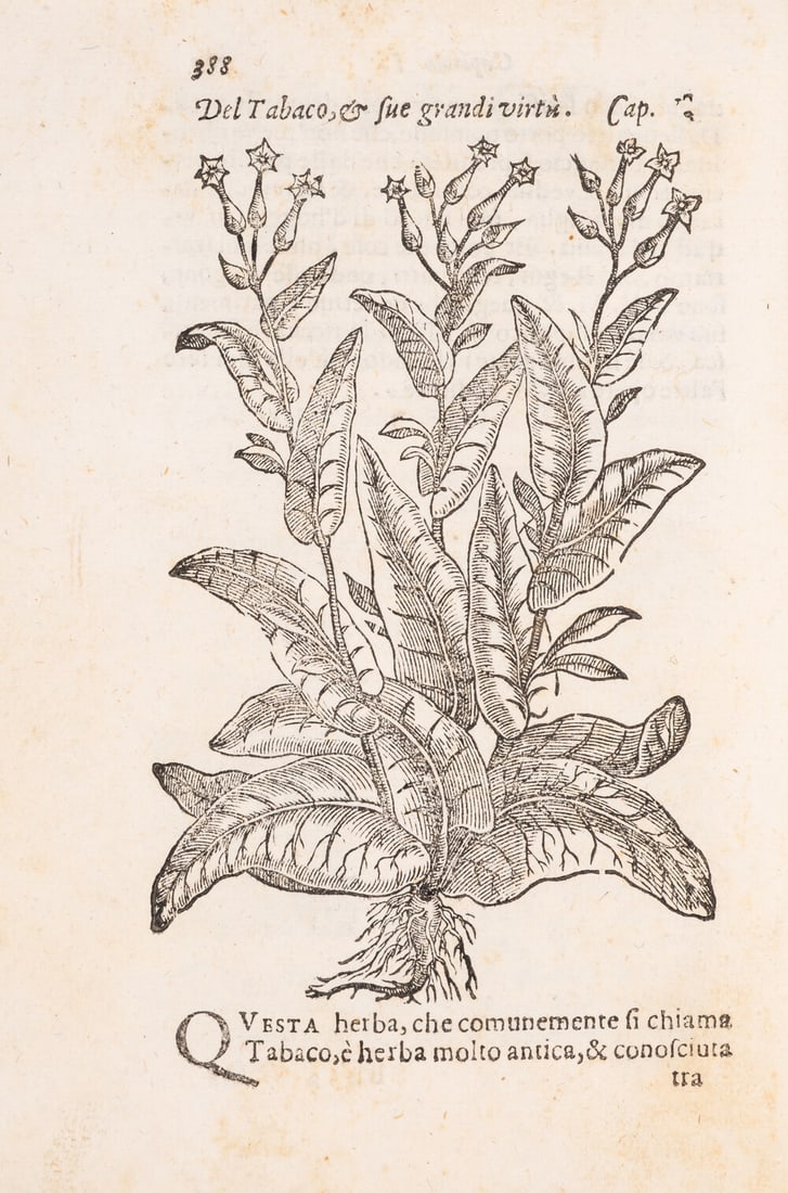 Herbal.- Tobacco.- Orta (Garcia de) Dell'historia de i semplici aromati..., Venice, nella Stamperia (1 of 1)