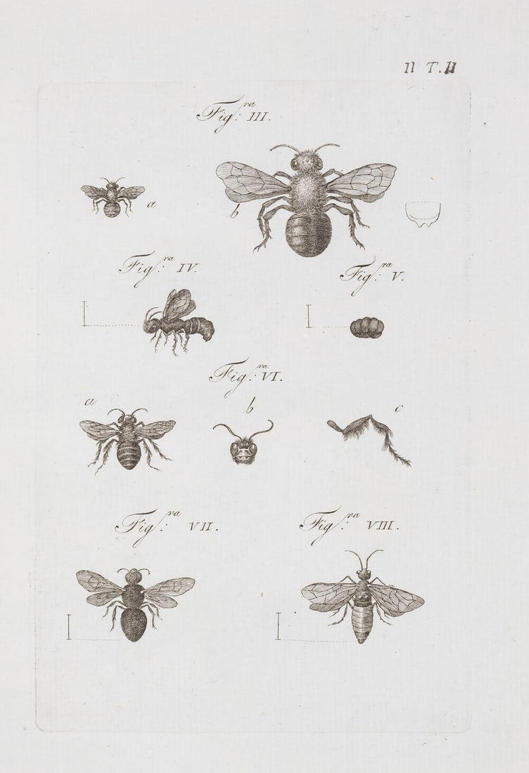 Insects.- Spinola (Maximilian) Insectorum Liguriæ species novæ aut rariores, 4 parts in 1 vol., (1 of 1)