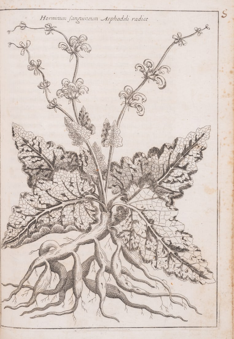 Botany.- Trionfetti (Giovanni Battista) Observationes de Ortu, ac Vegetatione Plantarum, first (1 of 1)