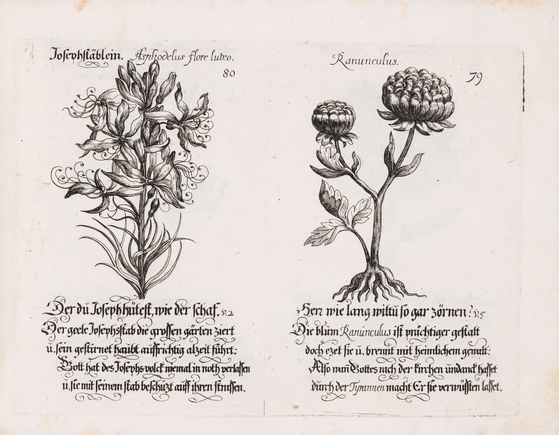 Botany.- Weigel (Johann Christoph, publisher.) Davidischer Lust und Blumen Garten, Nuremberg, (1 of 1)