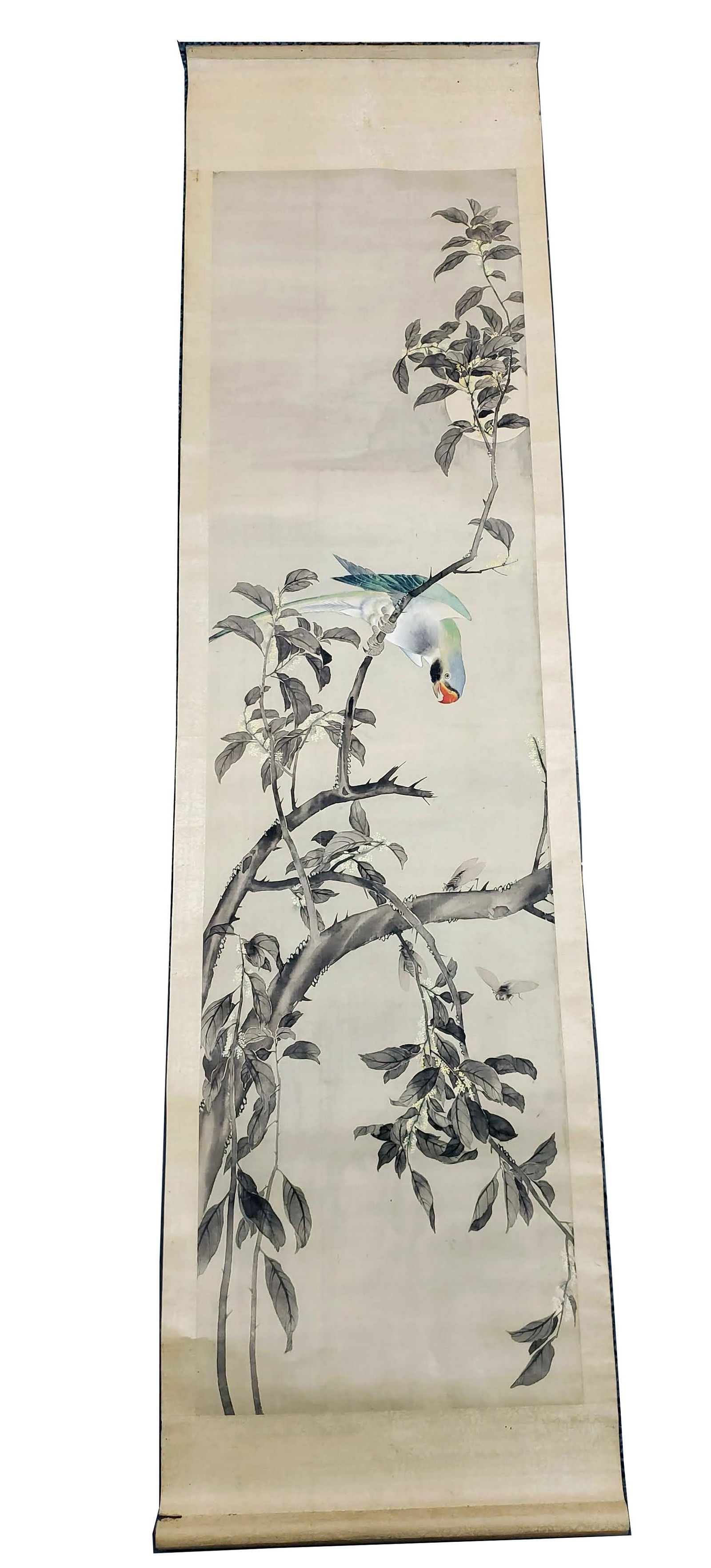 Antique Chinese Scroll Painting with Parrot: Antique Chinese Scroll Painting with Parrot. 72in x 19in