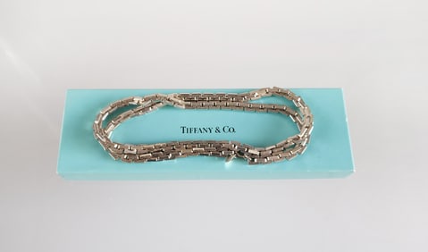 Estate Vintage Tiffany & Co. Sterling Silver 24 in Mens Chain Necklace