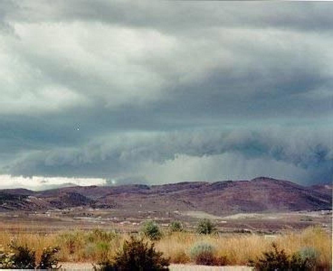 NV LAND, 10 AC.: 10 Acres, Elko County, NV Gov File # L-06998 APN: 010-36L-031 T39N R68E Sec. 35, SE 1/4 NE 1/4 SW 1/4 This auction is a bid-and-assume. Your bid is for the down payment and then assume the low balance