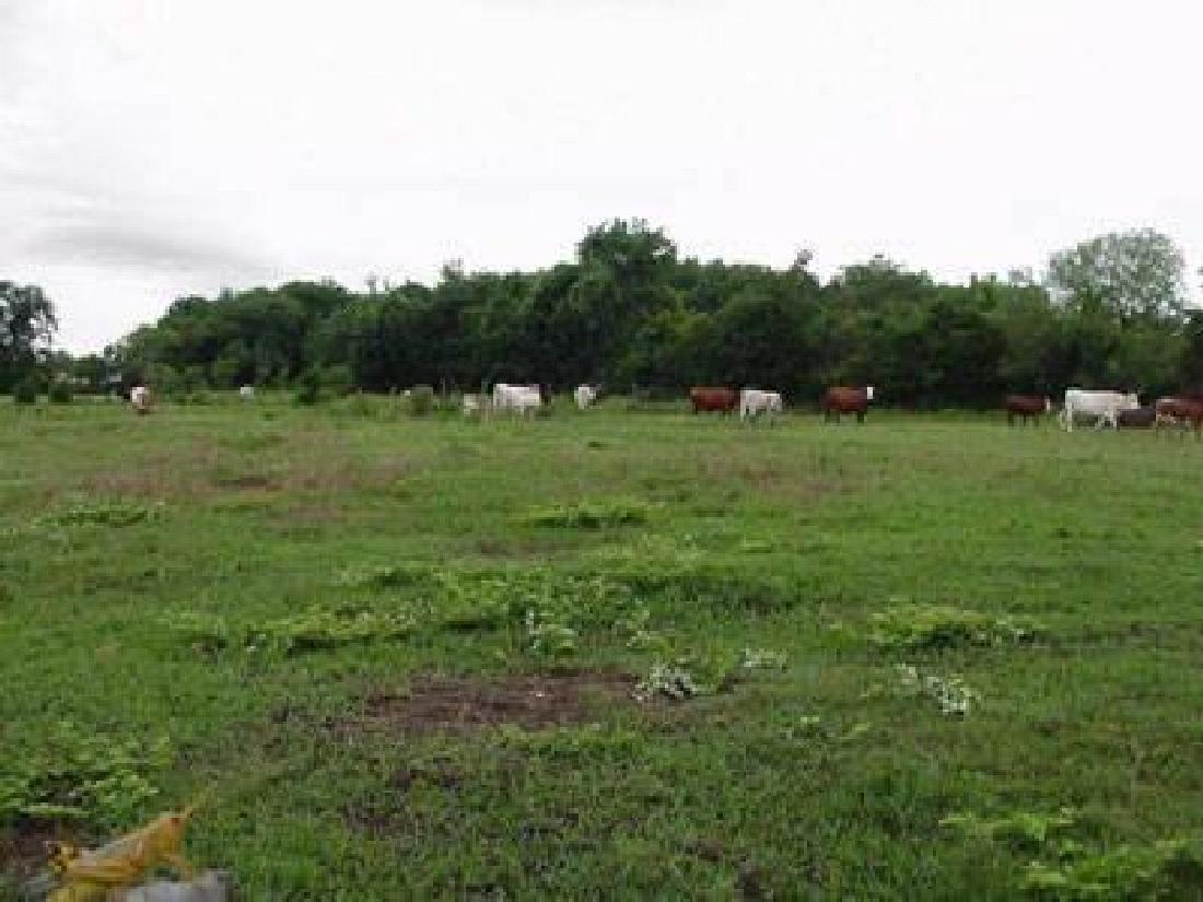 GovernmentAuction.com TX LAND, 40 AC., LOVING COUNTY,: 40 Acres, Loving County, TXGov File # L-10825 APN: NW1/4 SW1/4 SECTION 8 BLOCK 55 T2 T&P RR CO. SURVEY AB 1282 *SPLIT* This auction is a bid-and-assume. Your bid is for the down payment and then assum