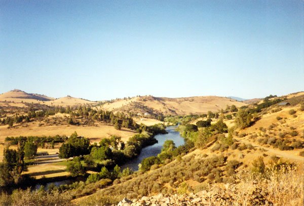 Surveyed-staked 4.58 AC NORTHERN CALIFORNIA~NICE - 8