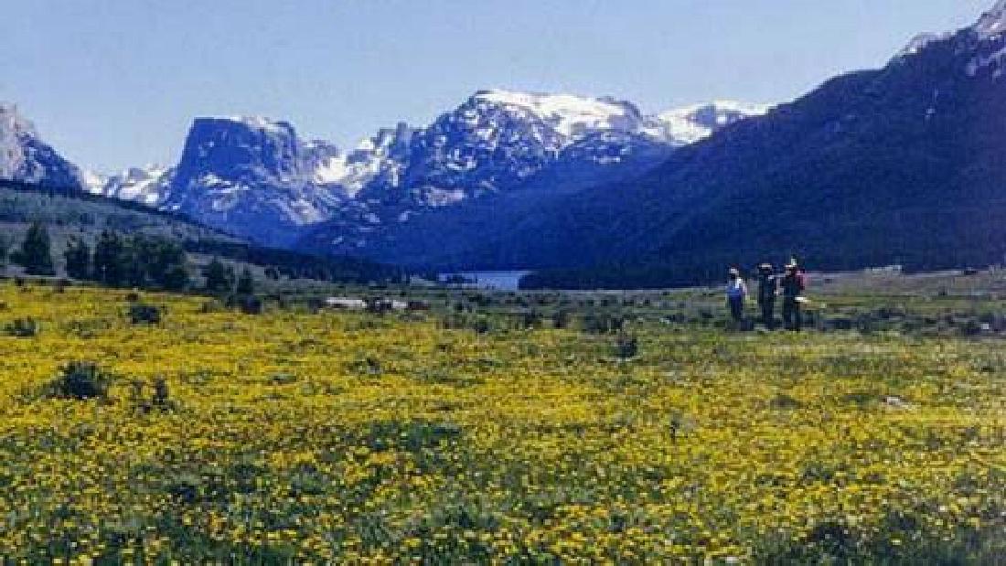 GovernmentAuction.com WY LAND, 40 AC., SWEETWATER,: 40 Acre, Sweetwater County, WY Gov File # L-04178 APN: NW 1/4 NE 1/4 SECTION 11 T22N R91W 04-2291-11-1-00-043.00 # 148853 This auction is a bid-and-assume. Your bid is for the down payment and then as