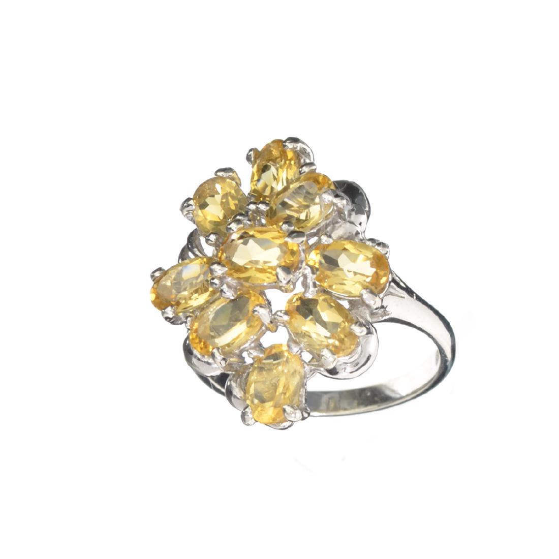 APP: 0.5k Fine Jewelry Designer Sebastian, 3.25CT Oval: Gov. File: H-29697 Fine Jewelry Designer Sebastian, 3.25CT Oval Cut Citrine And Sterling Silver Cluster Ring Retail Replacement Value: $0.5K Asset Type: Ring Shipping: $19.95