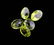 APP: 1.2k 5.99CT Oval Cut Green Peridot Parcel