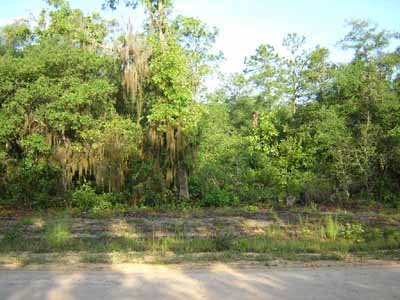 FLORIDA LOT~PERFECT VACATION AREA~STR. SALE - 3