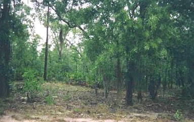 FLORIDA LOT~PERFECT VACATION AREA~STR. SALE - 4