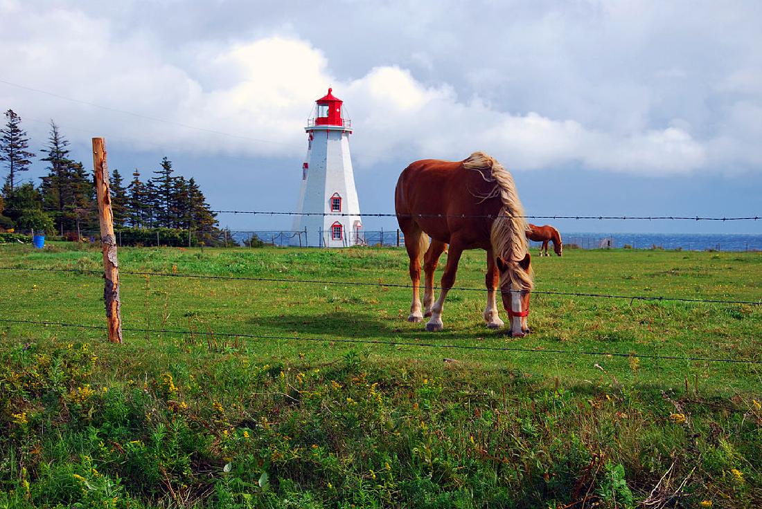 GovernmentAuction.com CANADA LAND,: 0.59 Acre, Prince County, CANADA Gov File # L-06012 APN: LOT 19 T13 PARCEL #868075 SCHOONER HAVEN SD, PORT HILL, PEI This auction is a bid-and-assume. Your bid is for the down payment and then assume 