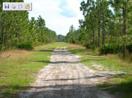 Gov: FL LAND, SHORT DRIVE TO DISNEY, STR SALE - 2