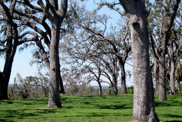 Gov: FL LAND, SHORT DRIVE TO DISNEY, STR SALE - 6