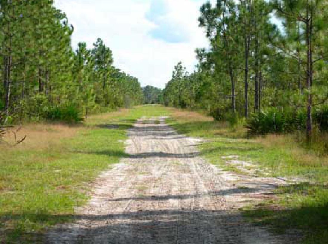 GovernmentAuction.com FL LAND, 1.25 AC., HUNTERS: 1.25 Acres, Polk County, FL Gov File # L-23417 APN: 303103-000000-014210, WÂ½ NWÂ¼ NEÂ¼ SWÂ¼ NEÂ¼ Section 3, T 31S R 30E (Financed) This auction is a bid-and-assume. Your bid is for the down