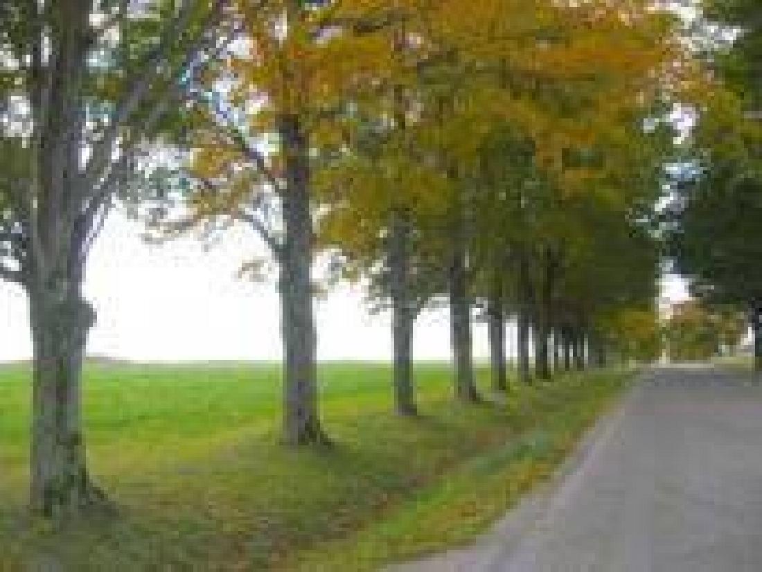 GovernmentAuction.com CANADA LAND, 160 AC., ONTARIO: 160 Acre, Cochrane, CANADA Gov File # L-06455 APN: S1/2 OF LOT 3 CONCESSION 4, WALKER TWNSHP 3144-ON (FINANCED) This auction is a bid-and-assume. Your bid is for the down payment and then assume the l