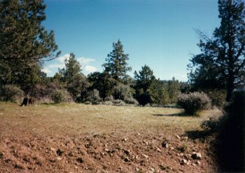CA PROPERTY, 2.53 ACRES, Fabulous! STR SALE Inves - 6