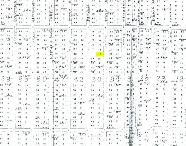 GOV: TX LAND, Near El Paso, INVEST! - STR SALE - 2