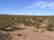 3516: GOV: TX RANCH, 10AC, FRWY FRNTGE. I80, STR SALE
