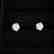 3532: 14 kt. White Gold, 0.32CT Diamond Earrings, INVES