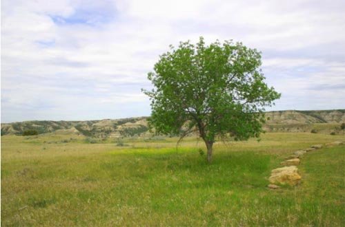 GOV: ND LAND, RECREATION, HUNTING, CAMPING