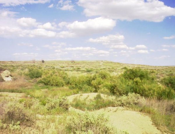 GOV: CO PROPERTY, GOLF & LAKE COMMUNITY - 3