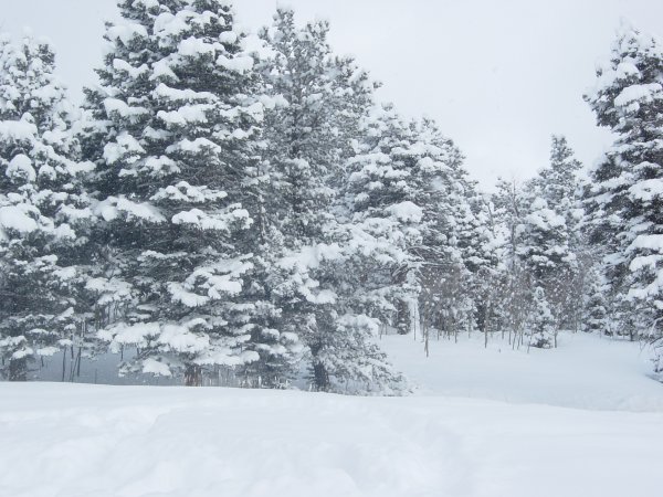 GOV: CO PROPERTY, GOLF & LAKE COMMUNITY - 4