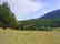 1602: GOV: CA LAND, 4.11 AC., KLAMATH RIVER, STR SALE - 3