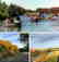 1682: GOV: CO LAND, 40 AC., RESERVOIR, SCENIC, STR SALE