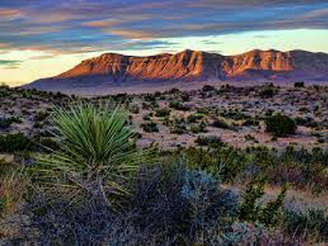BEAUTIFUL BID AND ASSUME! TAKE OVER PAYMENTS ON THIS: 5.01 Acre, Beautiful Ranchette in Fort Hancock Rancho Del Sol Hudspeth County, TX Gov File # L-24054 APN: NE 1/4 of Lot 1 Section 28 T6 Blk 74, Fort Hancock Rancho Del Sol This auction is a bid-and-as