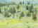 3000: GOV: CA LAND, 1 AC., RECREATION,, B&A $124/mo