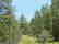 3000: GOV: CA LAND, 1 AC., RECREATION,, B&A $124/mo - 5