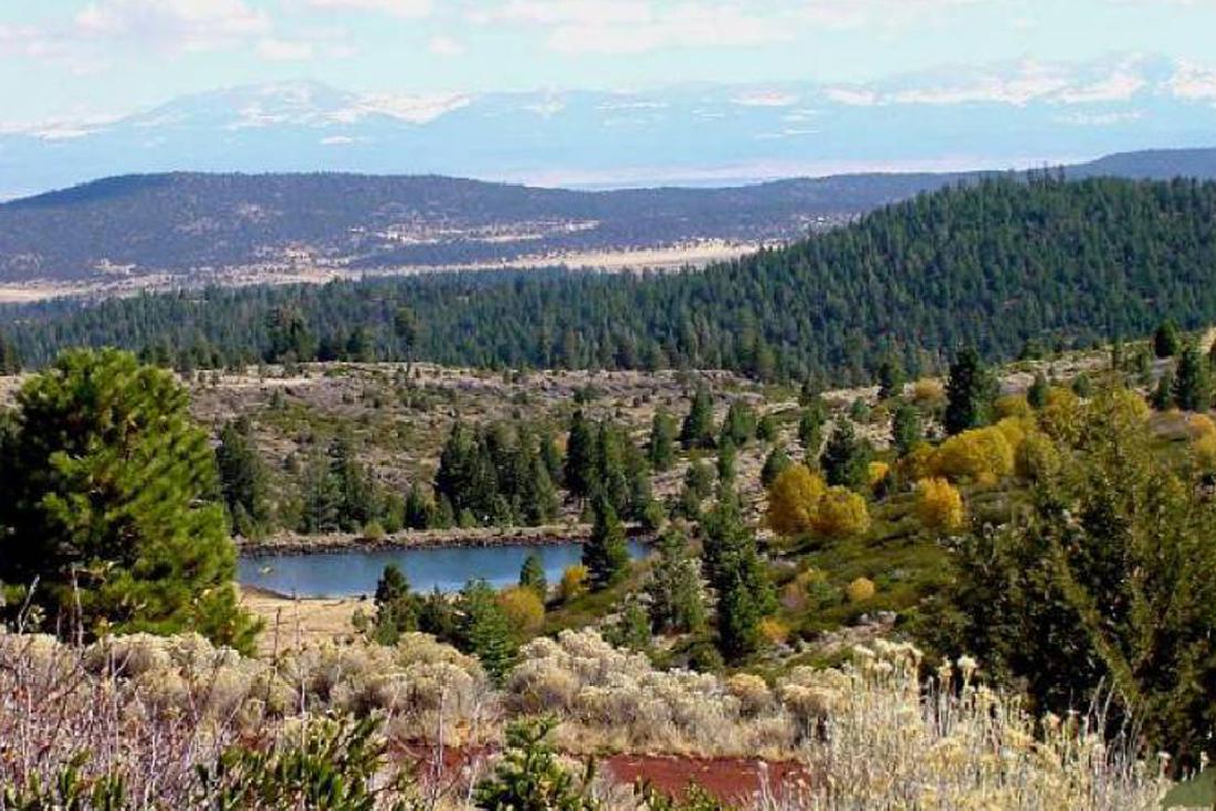 IMPRESSIVE CALIFORNIA LAND IN MODOC COUNTY! HOME SITE!: 0.92 Acre, Modoc County, CAGov File # L-05089 APN: 041-012-046-000 Lot 58 Block 57 California Pines Unit 5 This auction is a bid-and-assume. Your bid is for the down payment and then assume the low ba