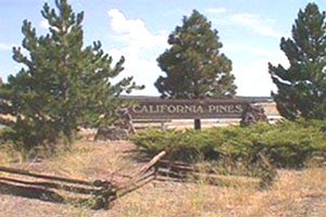 GOV: CA LAND, 1 AC. CALIFORNIA PINES, B&A $124/mo - 4