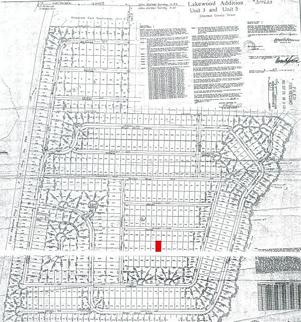 GOV: TX LAND, NEAR LAKE PALESTINE, STR SALE - 2