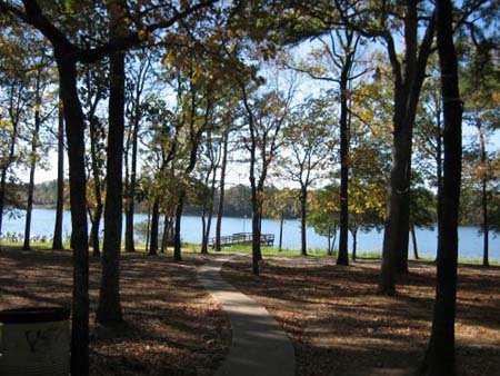 GOV: TX LAND, NEAR LAKE PALESTINE, STR SALE - 3