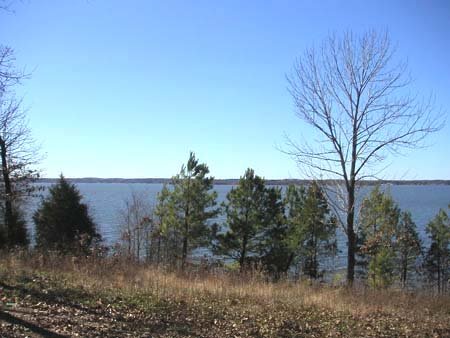 GOV: TX LAND, NEAR LAKE PALESTINE, STR SALE - 4